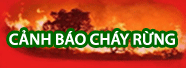 Cảnh báo chảy rừng